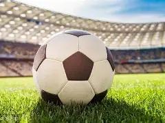 尼科,威廉斯,佩德里场上,乐彩网,中国乐彩网官方,乐彩网官网,乐彩网首页